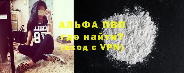 спайс Покачи