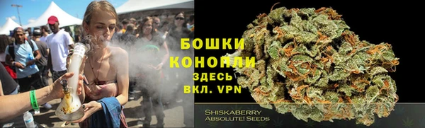 спайс Покачи