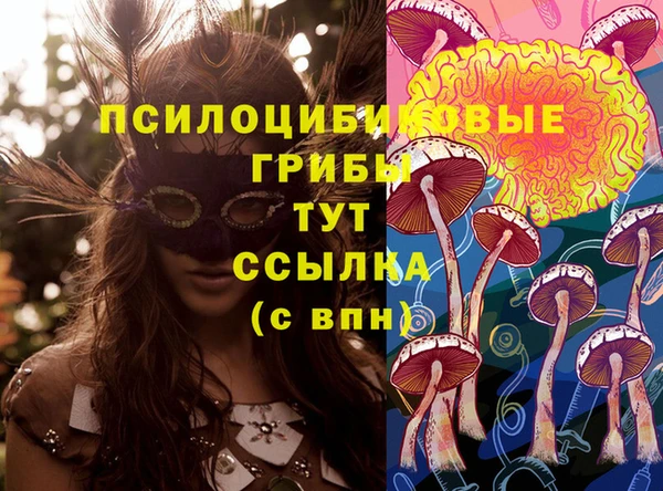 Альфа ПВП Балабаново