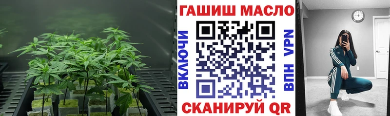 Дистиллят ТГК Wax  блэк спрут   Заинск  закладка 